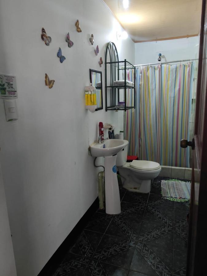 Tortuguero Casa De Playa Green House Apartment Екстериор снимка