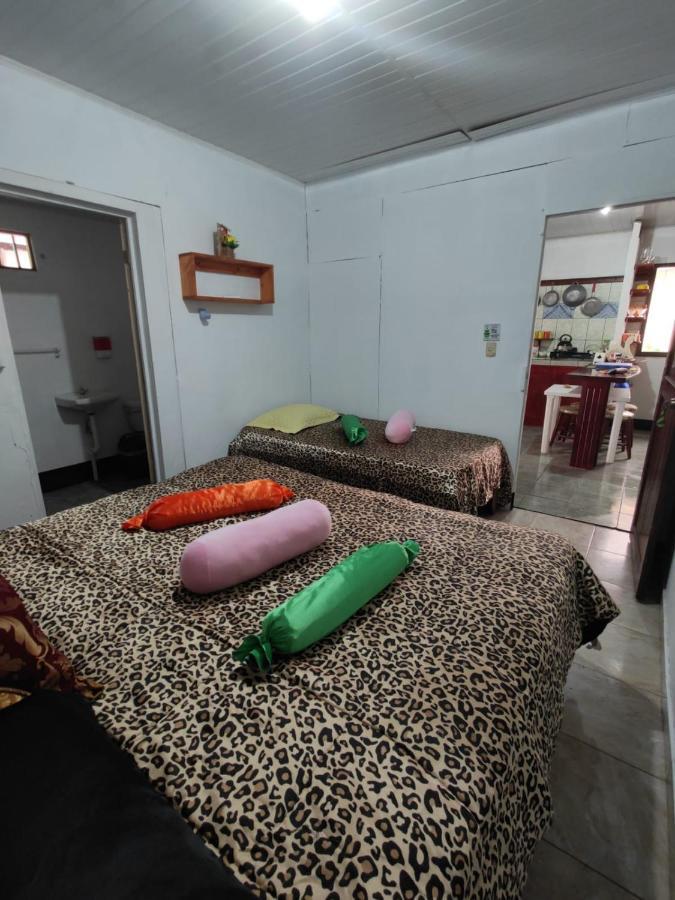 Tortuguero Casa De Playa Green House Apartment Екстериор снимка