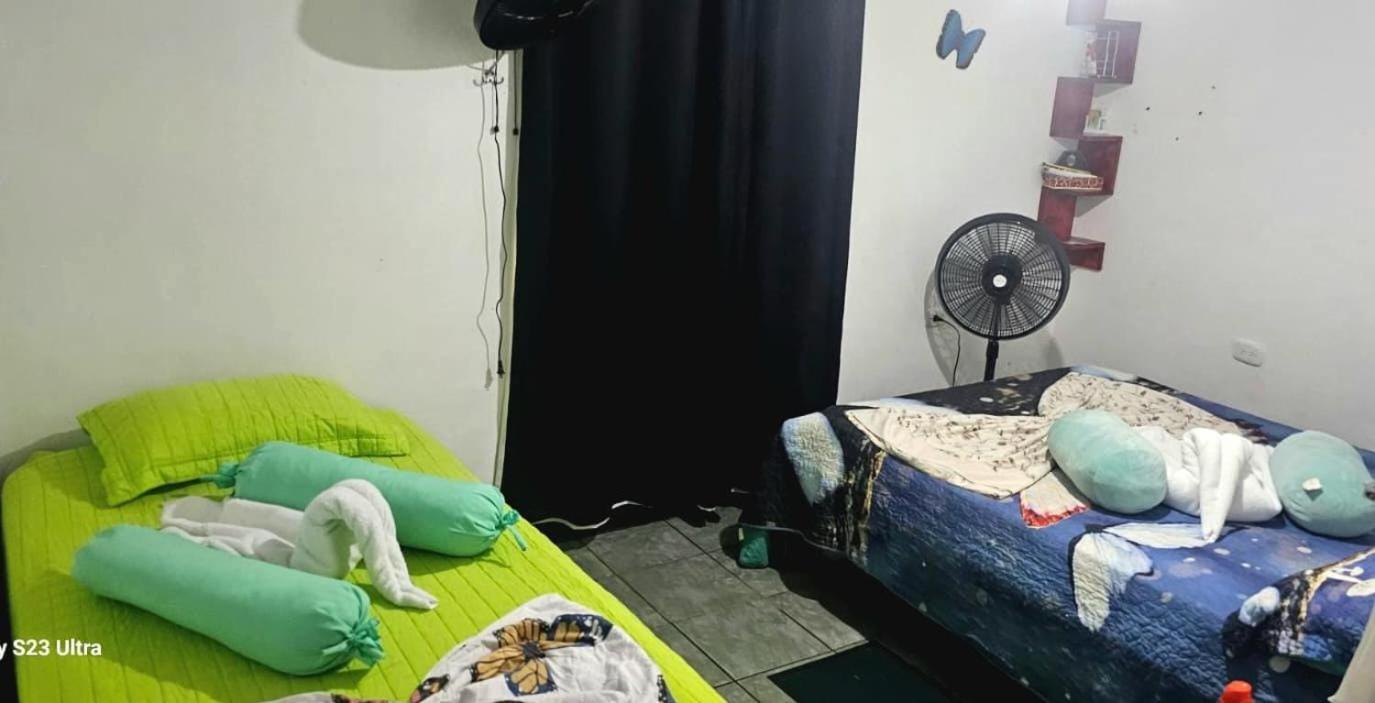 Tortuguero Casa De Playa Green House Apartment Екстериор снимка
