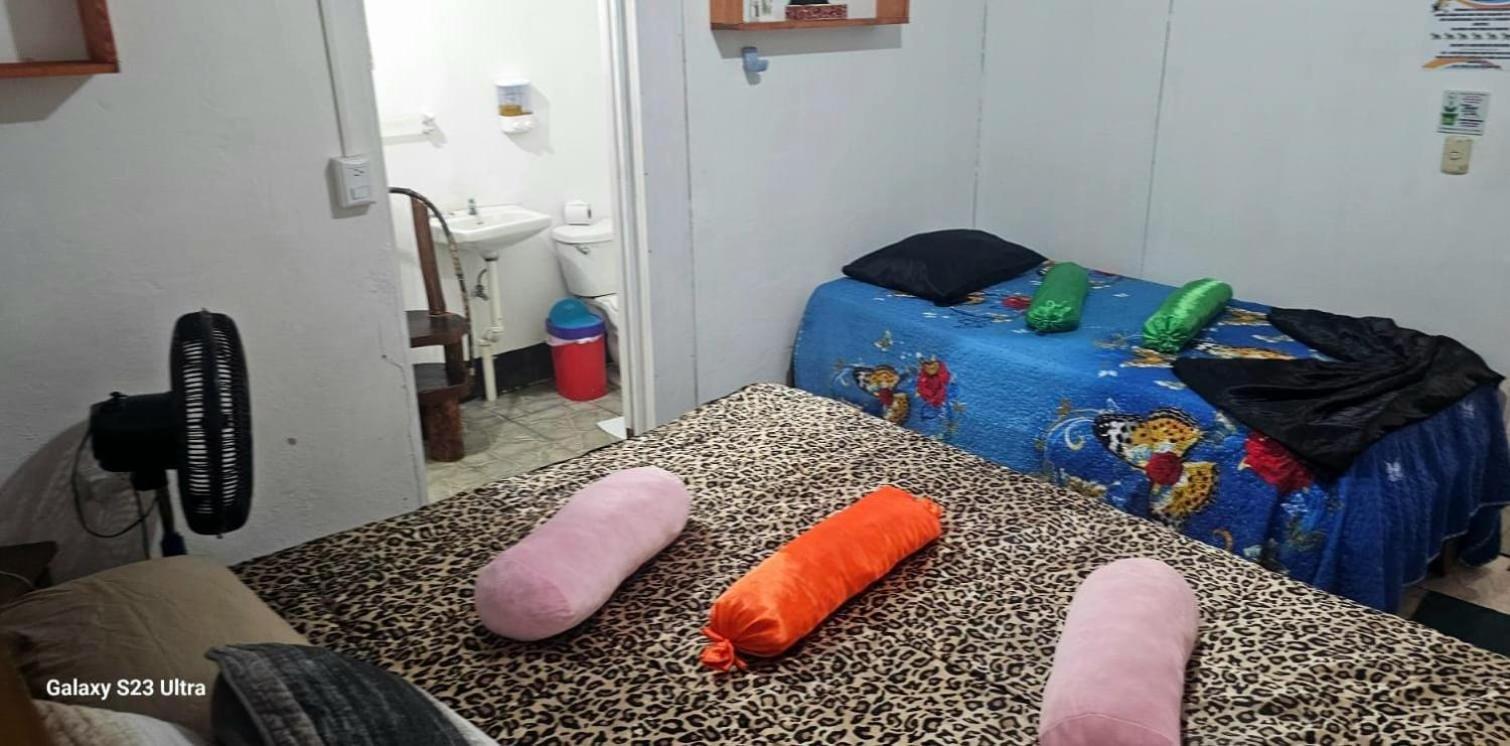 Tortuguero Casa De Playa Green House Apartment Екстериор снимка