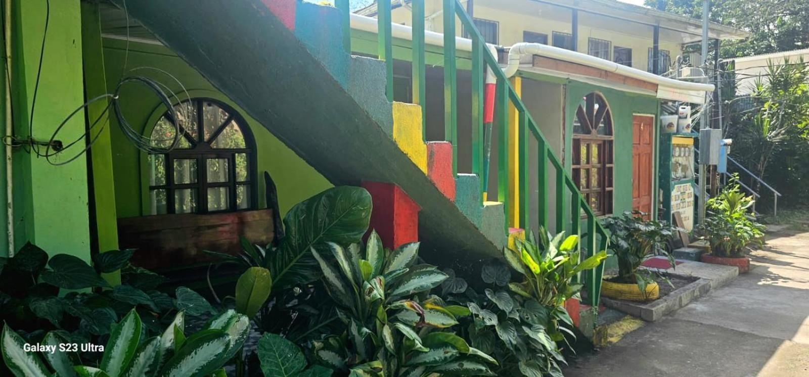 Tortuguero Casa De Playa Green House Apartment Екстериор снимка