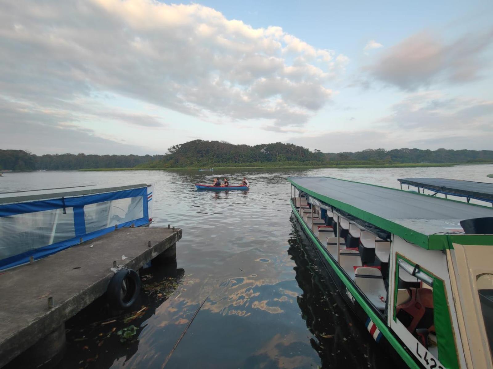 Tortuguero Casa De Playa Green House Apartment Екстериор снимка